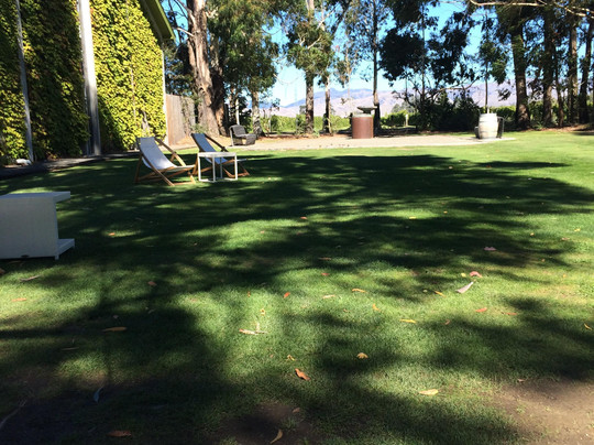 Hop n Grape Tours-布伦海姆必去景点