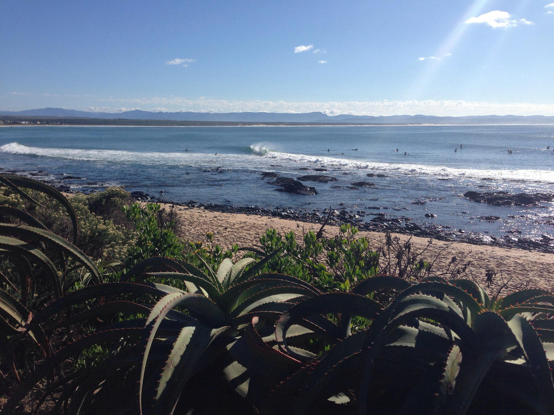 Surf-Jbay Surf School景点图片