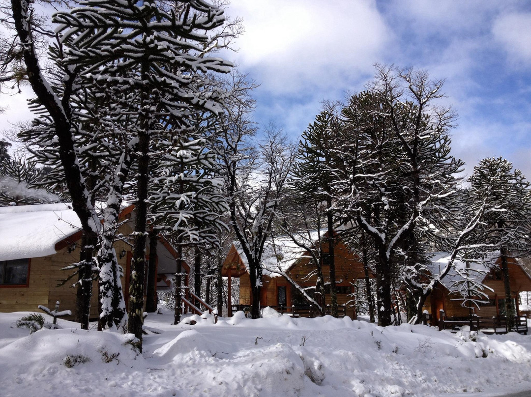 Cabanas Raices del Colorado