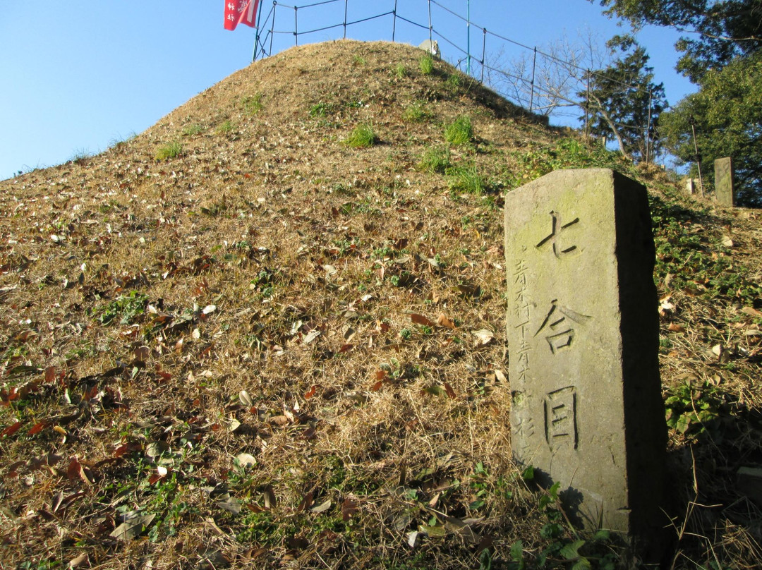 Tosho Shrine景点图片