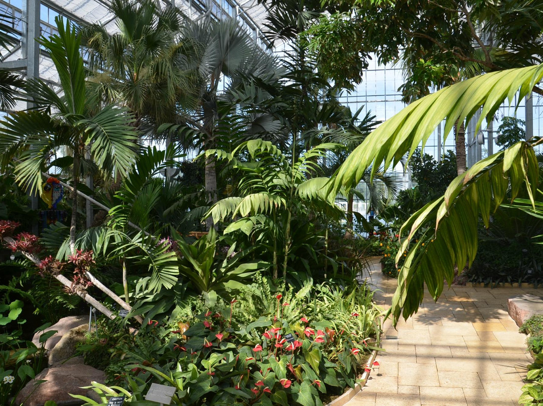 Nicholas Conservatory and Gardens-罗克福德必去景点