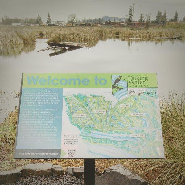 Talking Water Gardens-奥尔巴尼必去景点