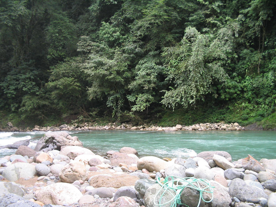 Pejibaye River景点图片