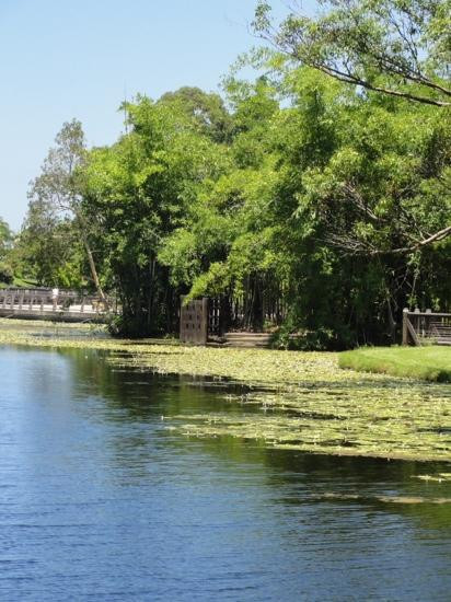 Gold Coast Regional Botanic Gardens-Benowa必去景点