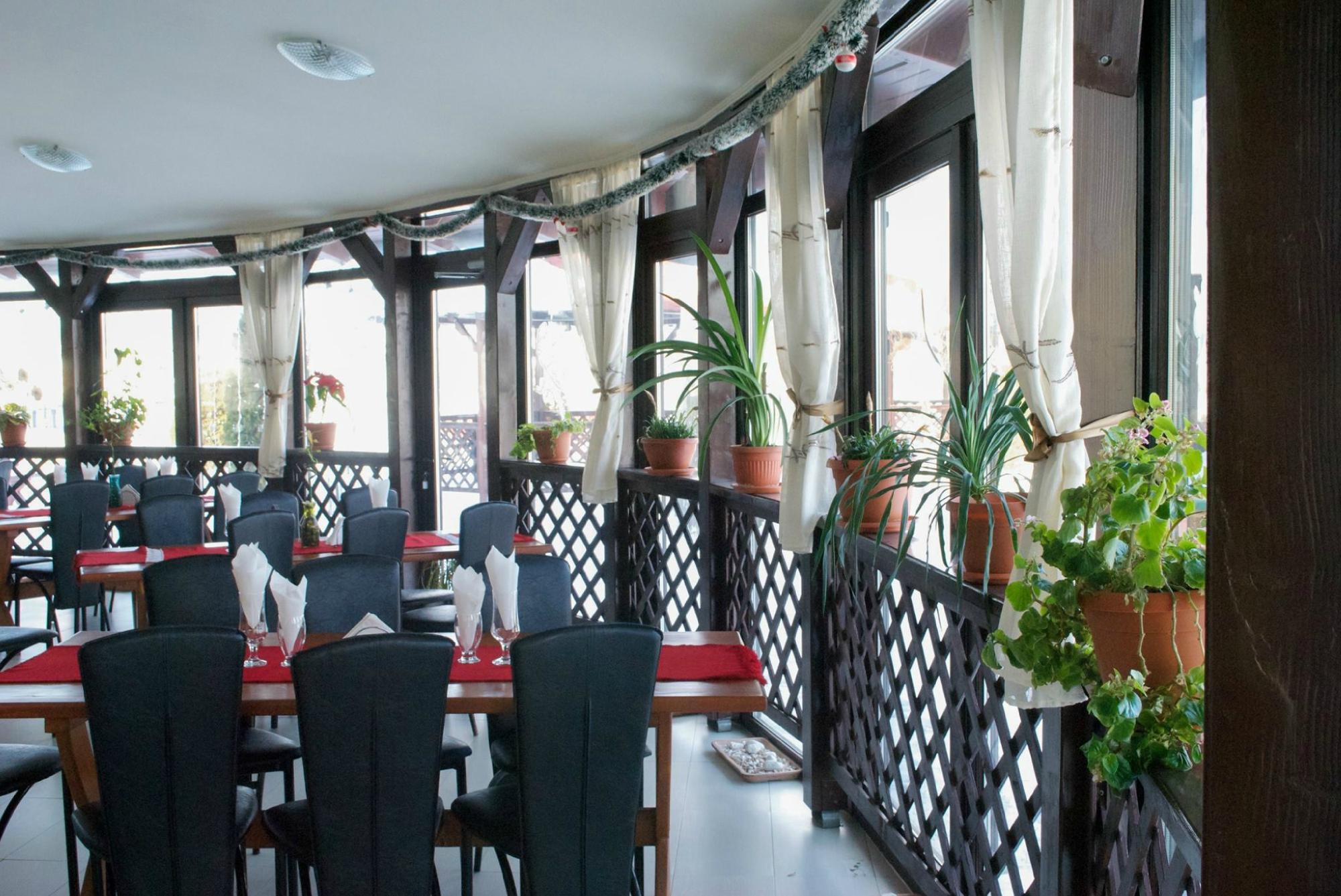 Cabana Deltei-官方