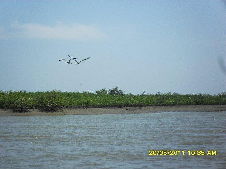 La Isla Hueso de Ballena-Tumbes必去景点