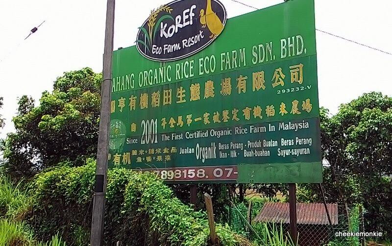 Koref Eco Farm Resort-居銮必去景点