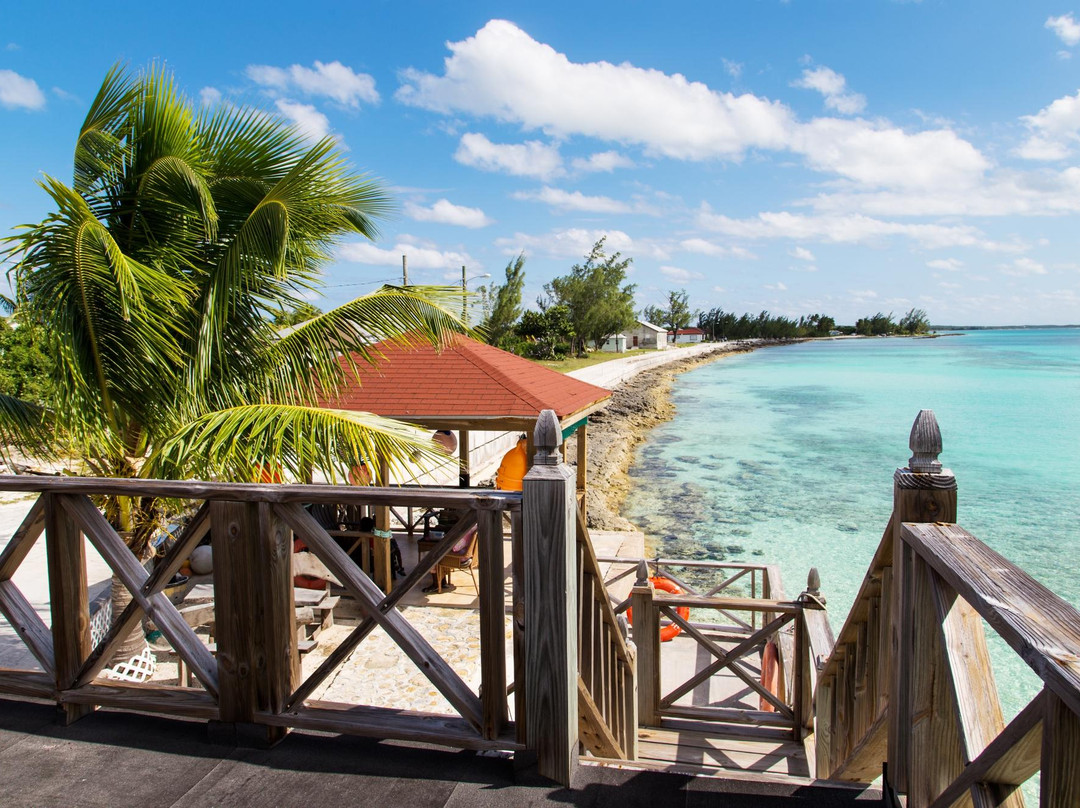 Cocktails by the Sea-Cat Island必去景点