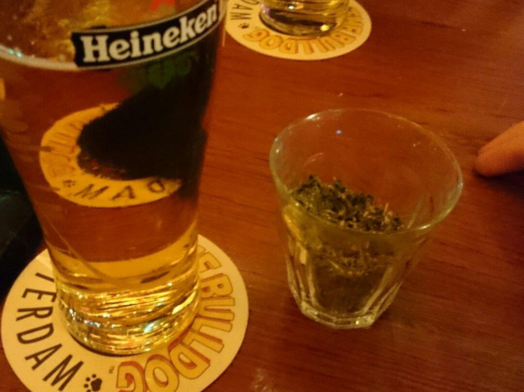 The Bulldog夜店-阿姆斯特丹必去景点