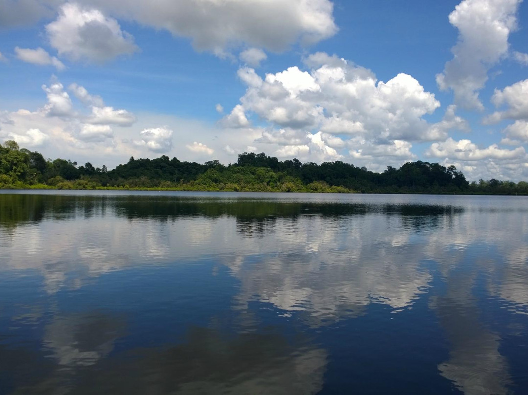 Loagan Bunut National Park-美里必去景点