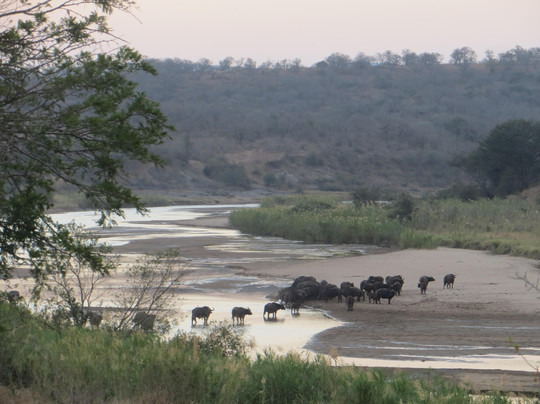 DayToursKzn-德班必去景点