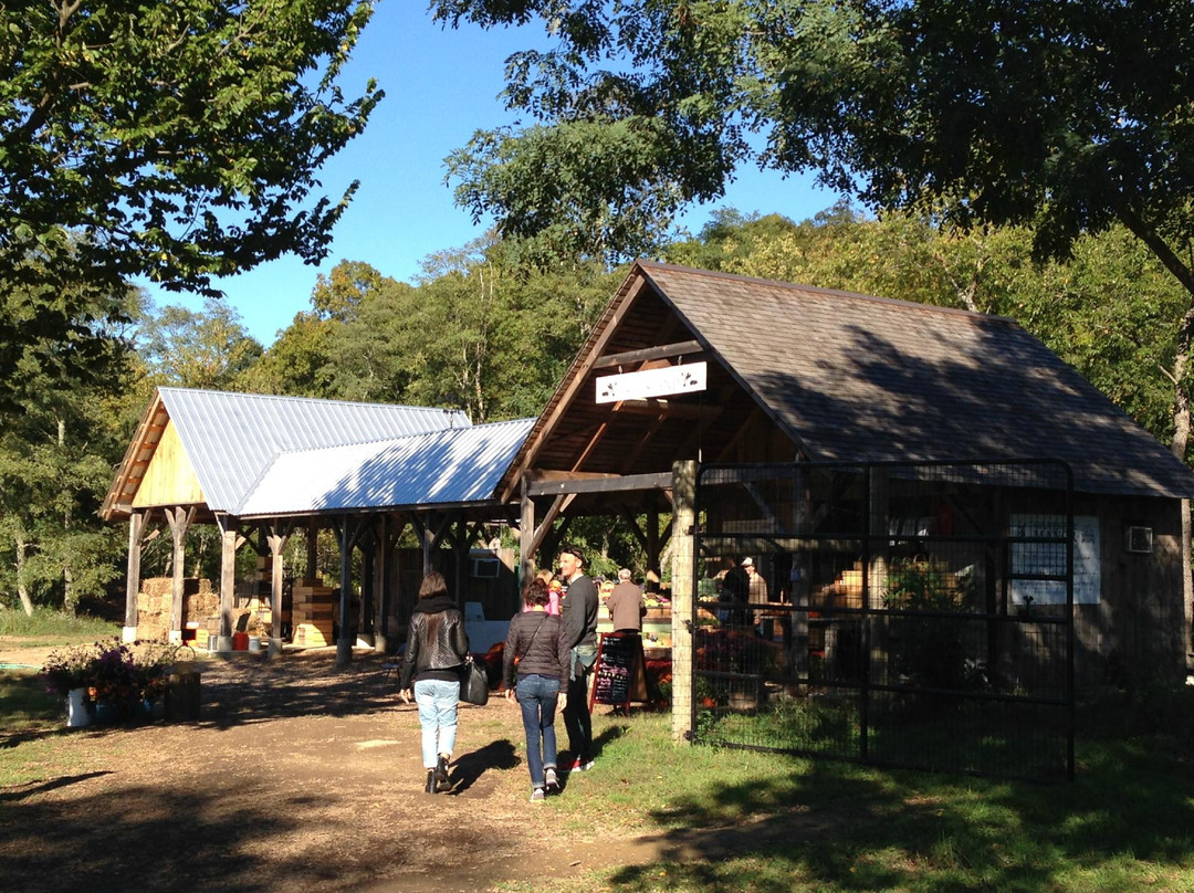 Sylvester Manor Educational Farm-Shelter Island必去景点