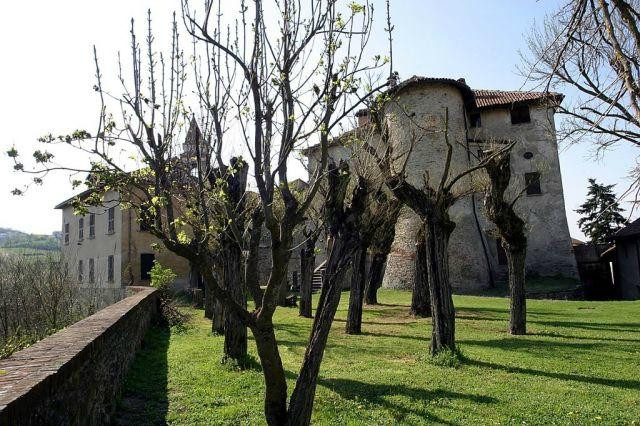 Castello di Prasco景点图片