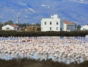 MonNatura Delta de l'Ebre景点图片