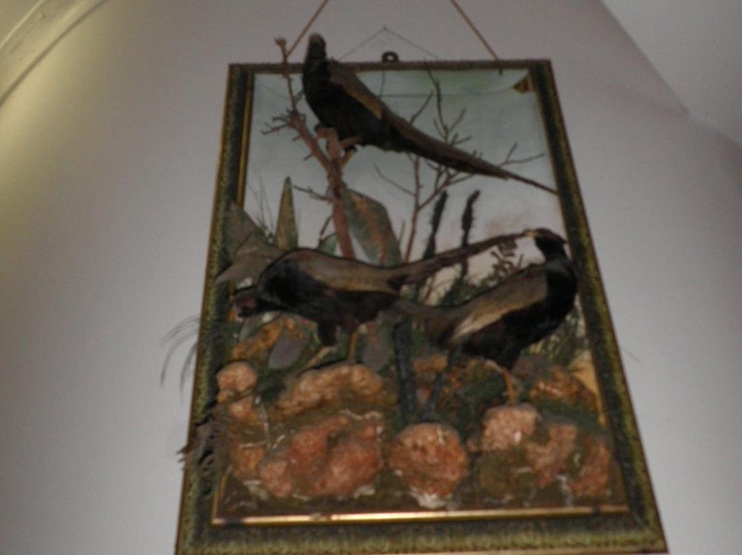 Bronson-Mulholland House-Palatka必去景点