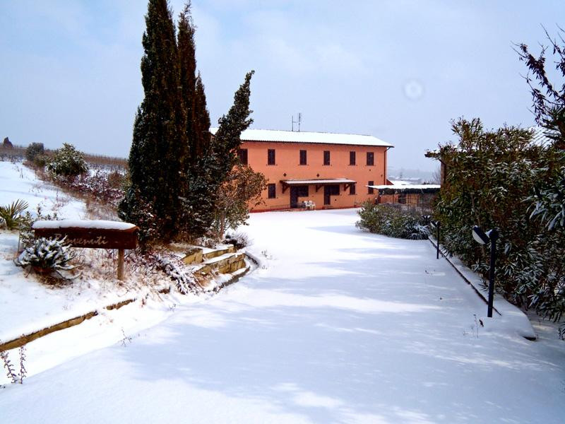 Il Cerchio delle Fate