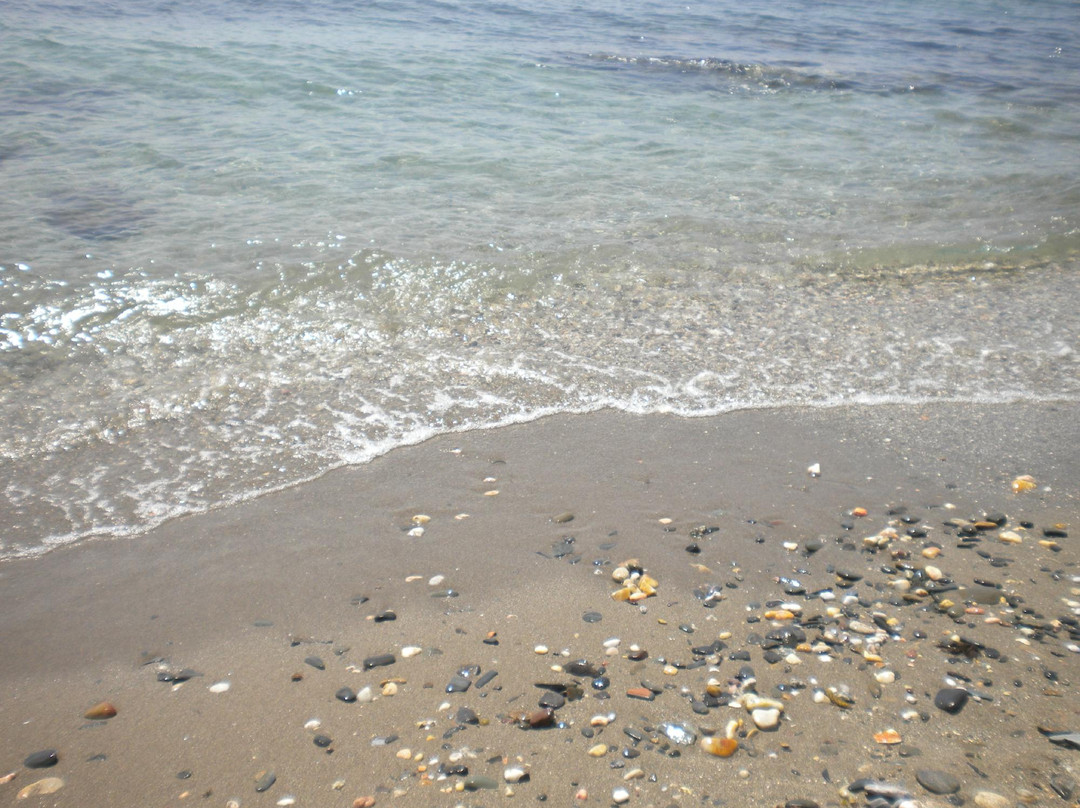 Playa Cabopino景点图片