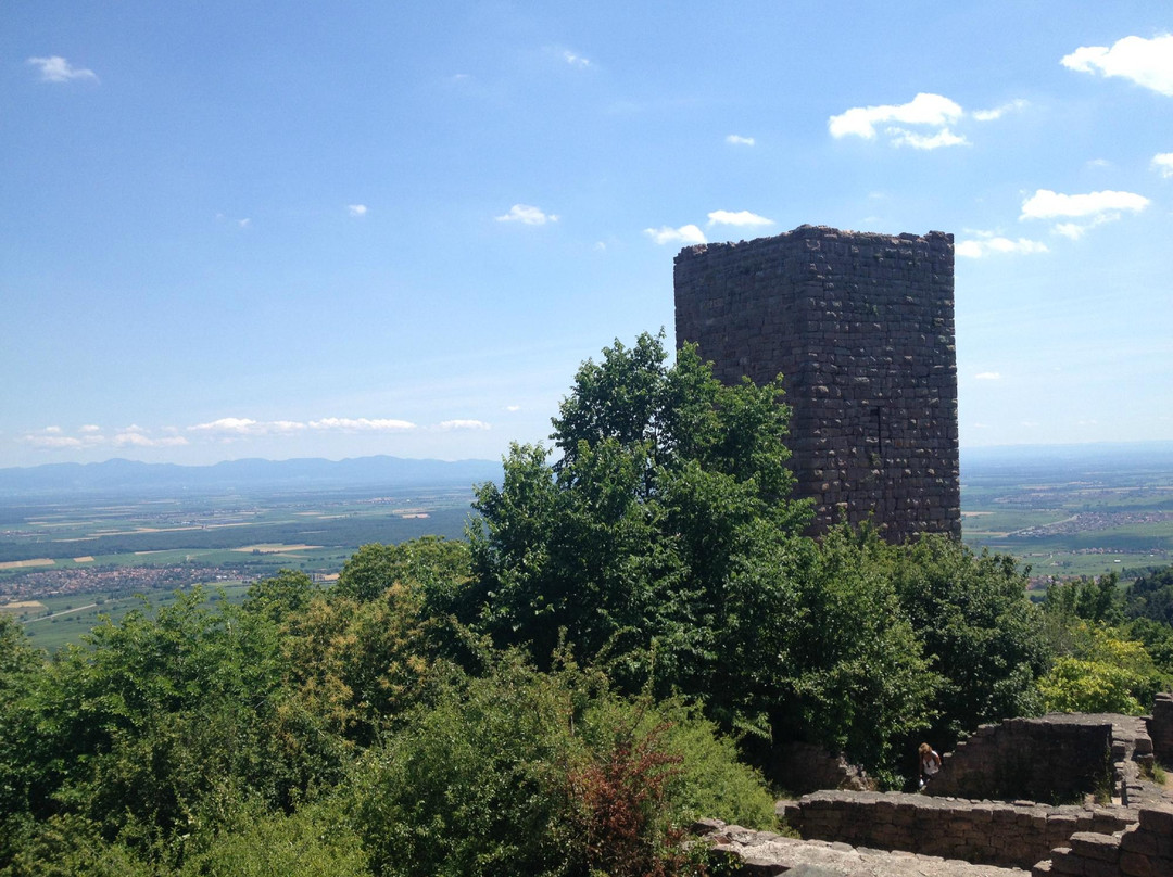 Les Trois-Chateaux du Haut-Eguisheim景点图片