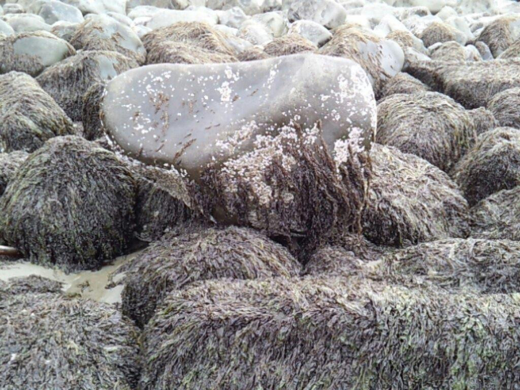 Manzanita Beach-Manzanita必去景点