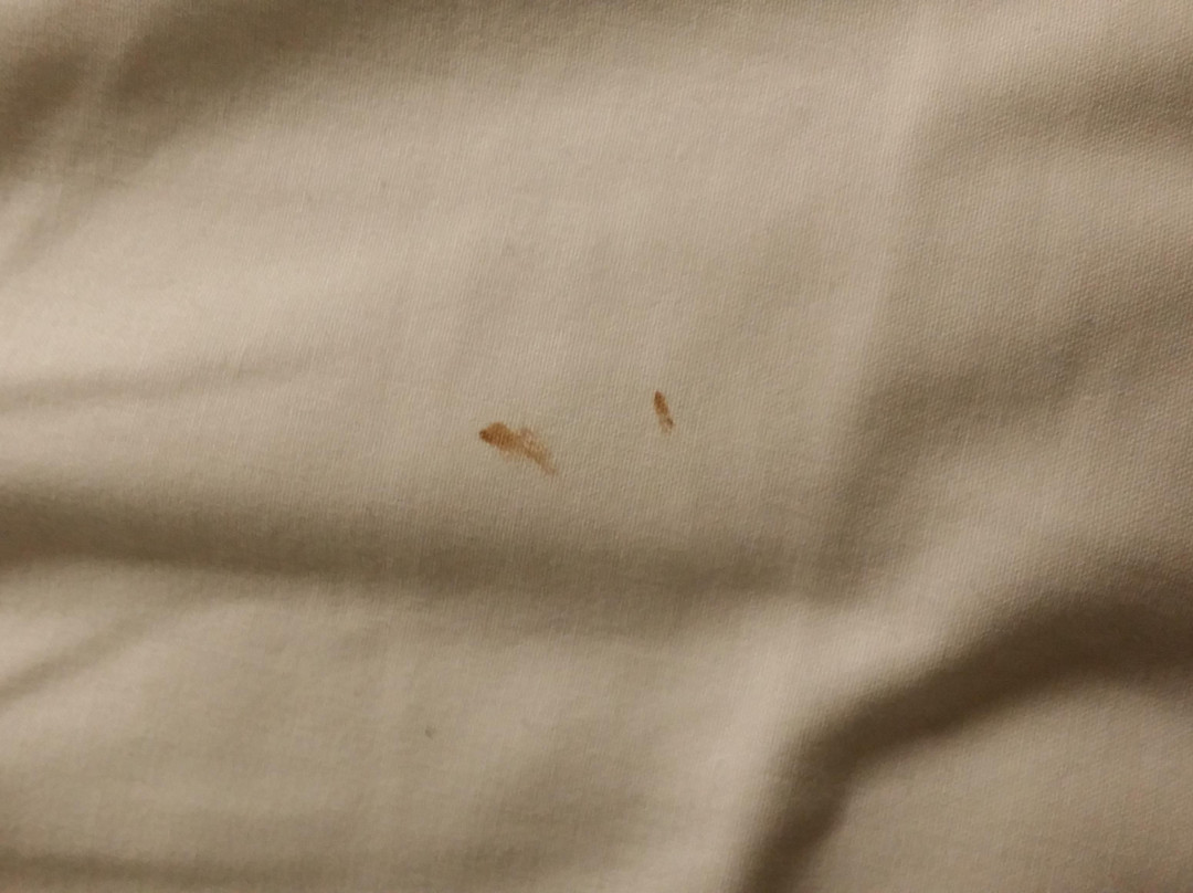 拉弗顿俱乐部酒店主图