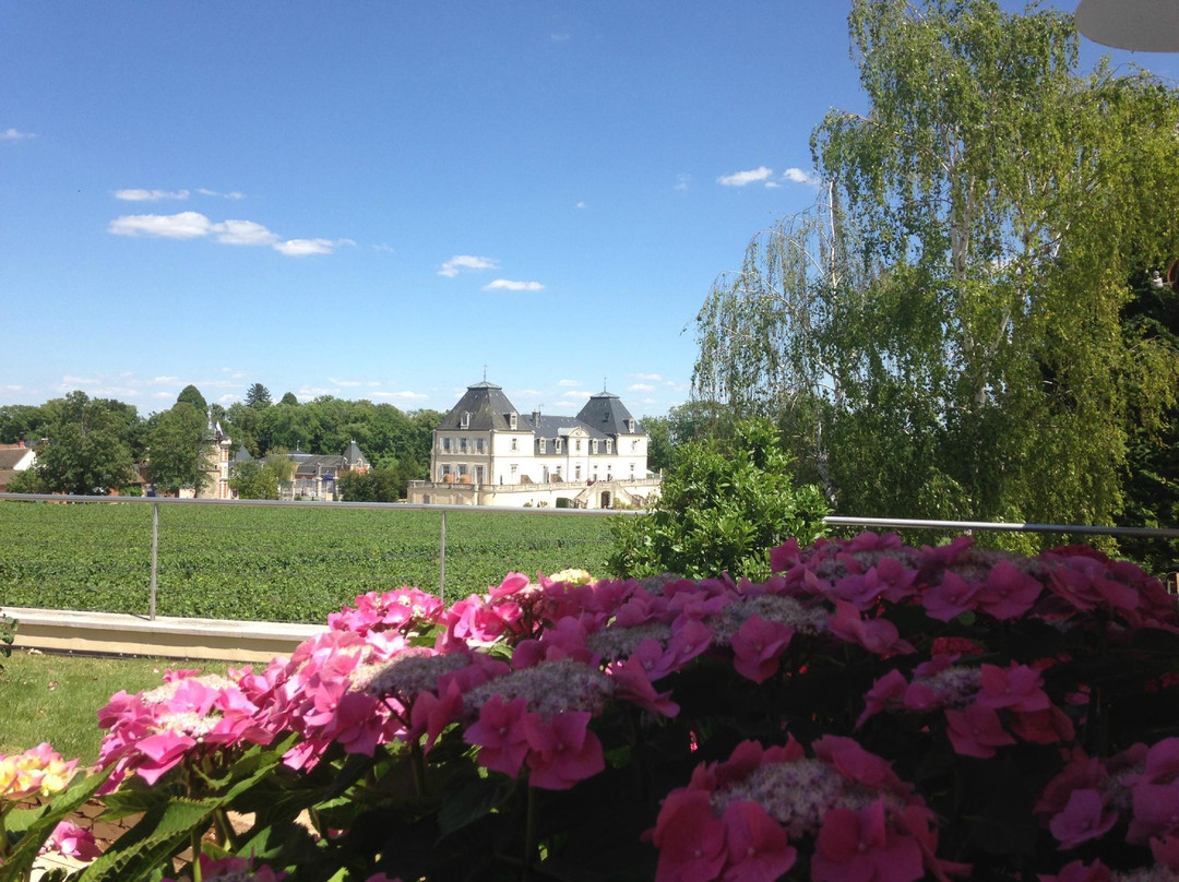 Domaine Château de Citeaux景点图片