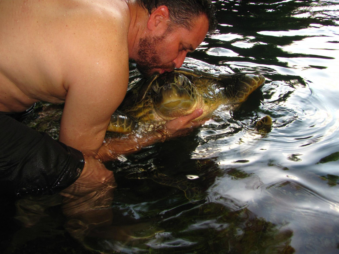 Mnarani Marine Turtles Conservation Pond-孥归必去景点