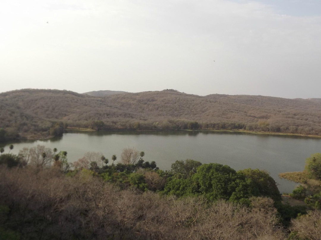 Padam Talab景点图片