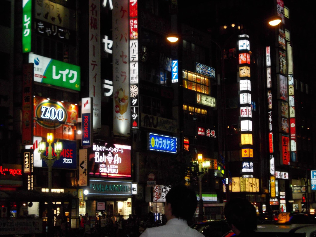 歌舞伎町-Kabukicho必去景点
