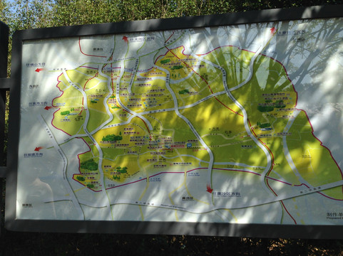 大夫山森林公园-广州市必去景点