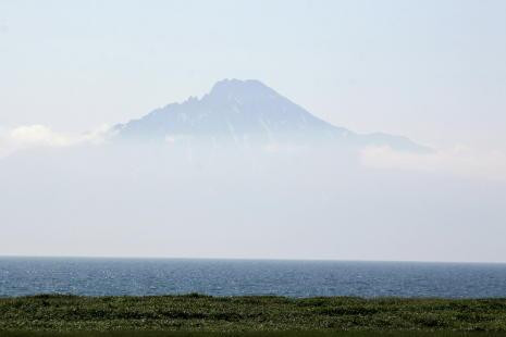 Sarobetsu Primeval Garden-丰富町必去景点