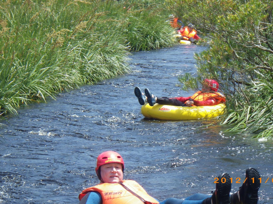 SA Forest Adventures Kleinmond-小月必去景点