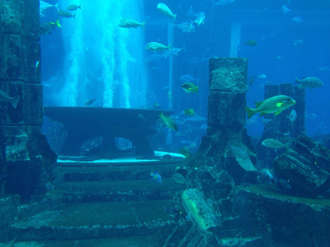 失落的密室水族馆-迪拜必去景点