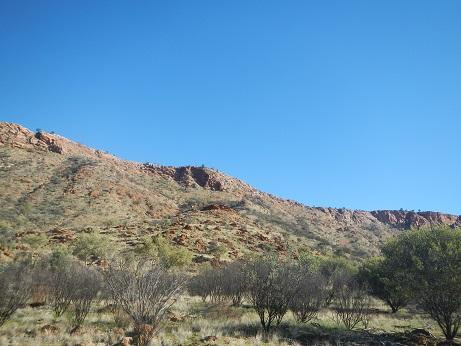 Alice Springs Desert Park-爱丽斯泉必去景点