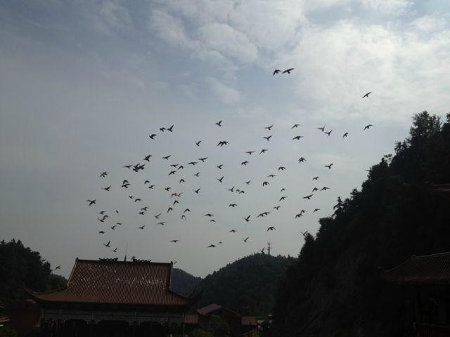 Chongqing Temple Xinyu-新余市必去景点