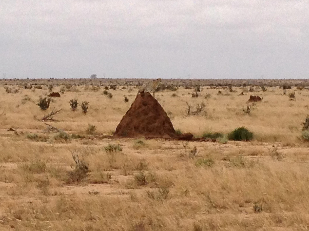 Mamasavana-马林地必去景点