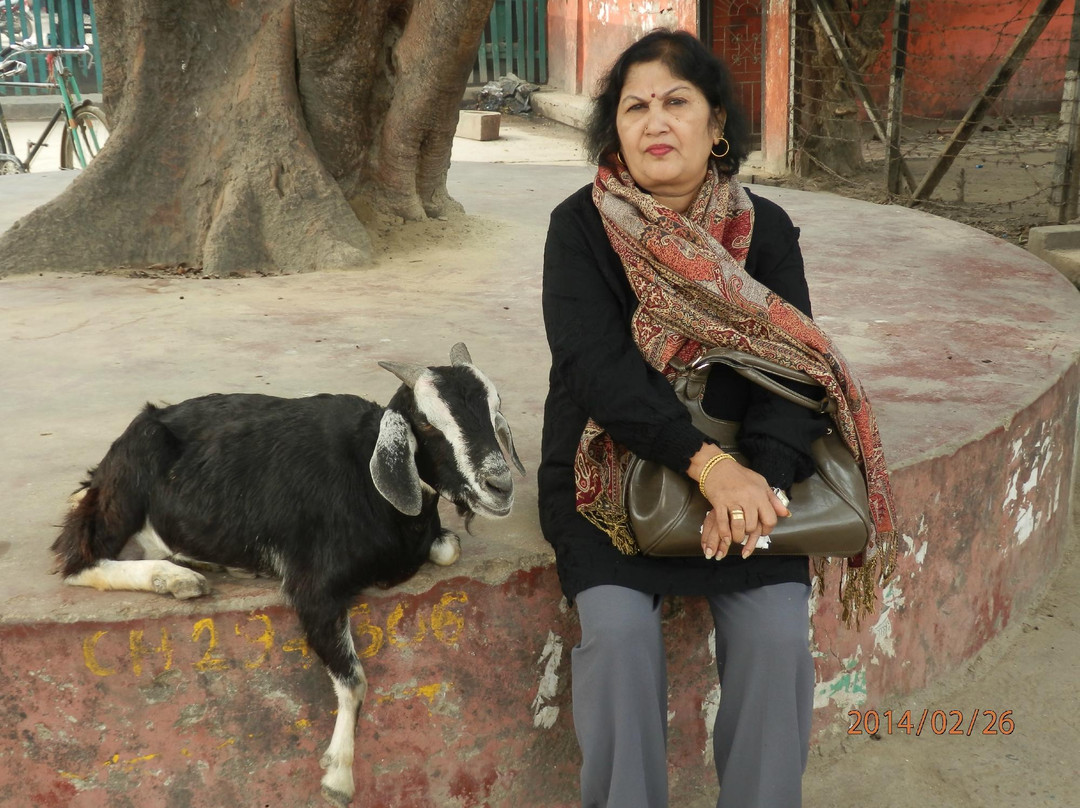 Janakpur Dham Rail Station