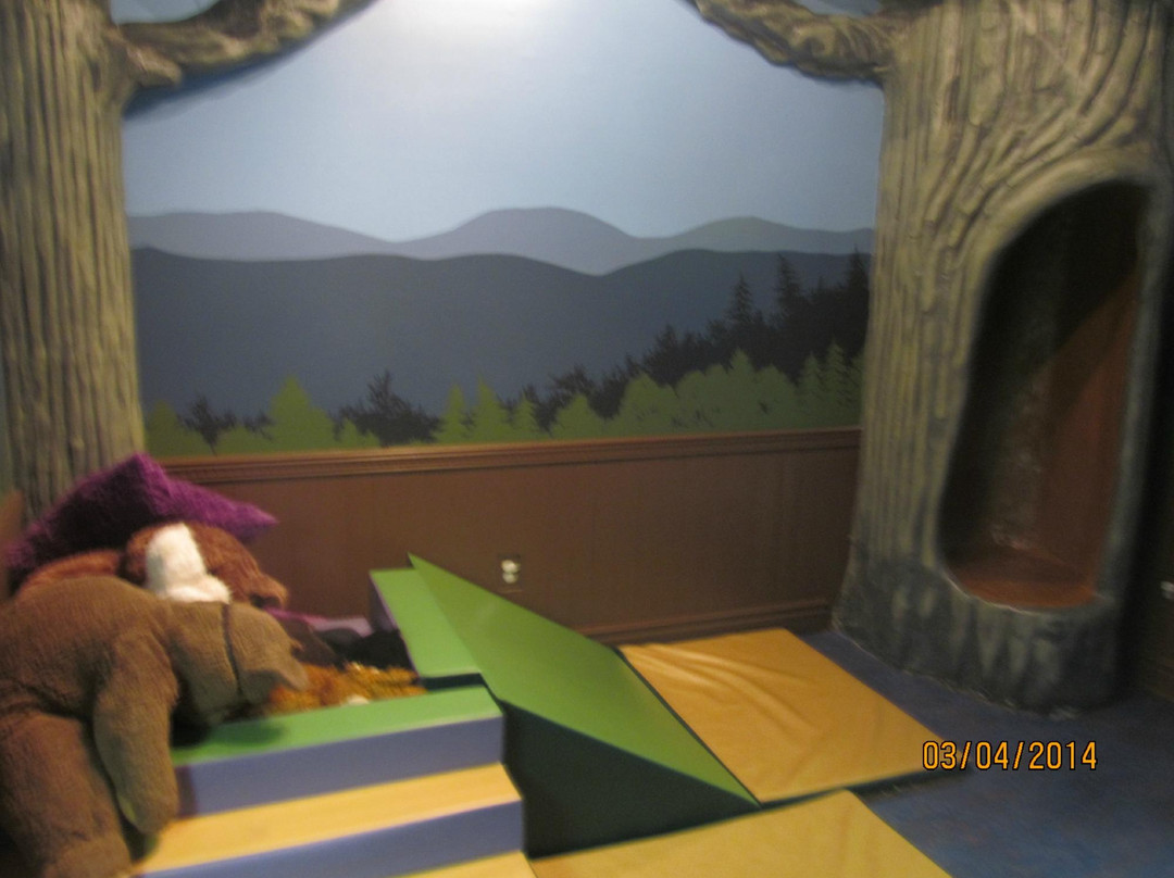 Virginia Discovery Museum-夏洛茨维尔必去景点