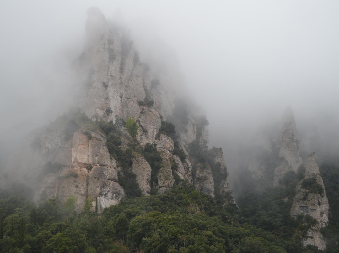 Castlexperience Wine Tours-巴塞罗那必去景点