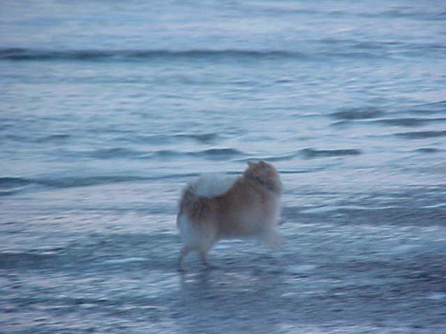 Out by the Sea Bed and Breakfast主图