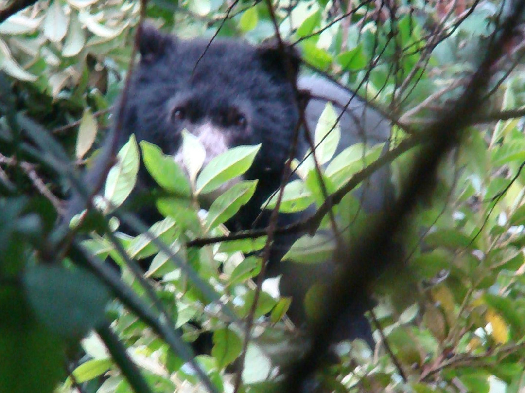 Tambo Tanda-基多必去景点