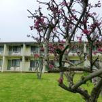 Tumut Motor Inn主图