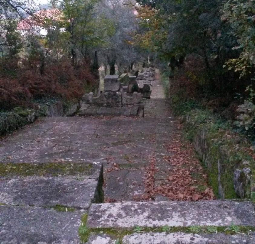 Mosteiro de São Martinho de Tibães景点图片