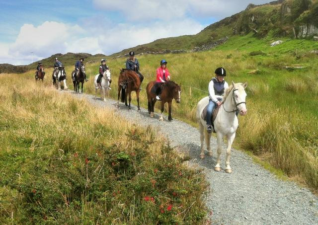 Bantry Bay Pony Trekking景点图片