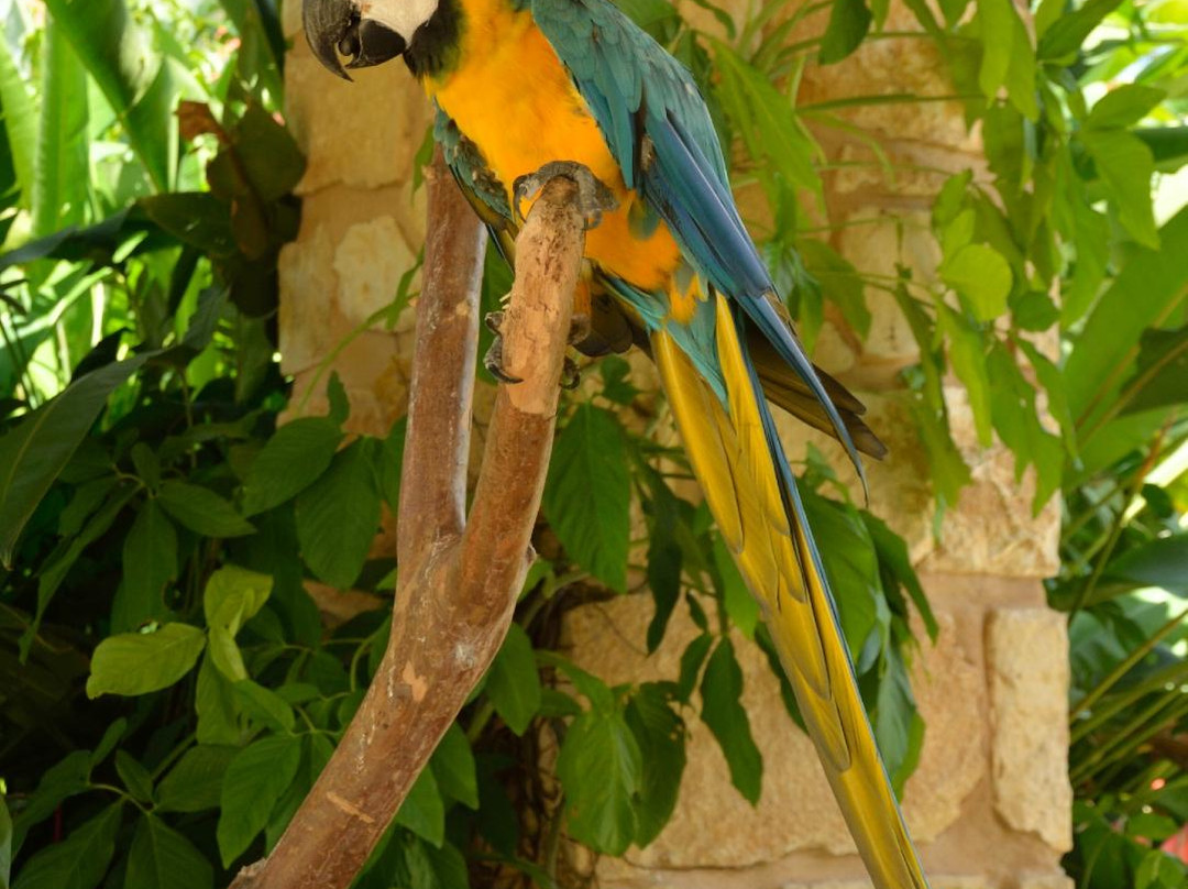 Aluxes Ecoparque-帕伦克必去景点