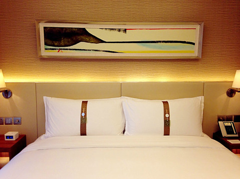 上海浦东康桥绿地假日酒店主图