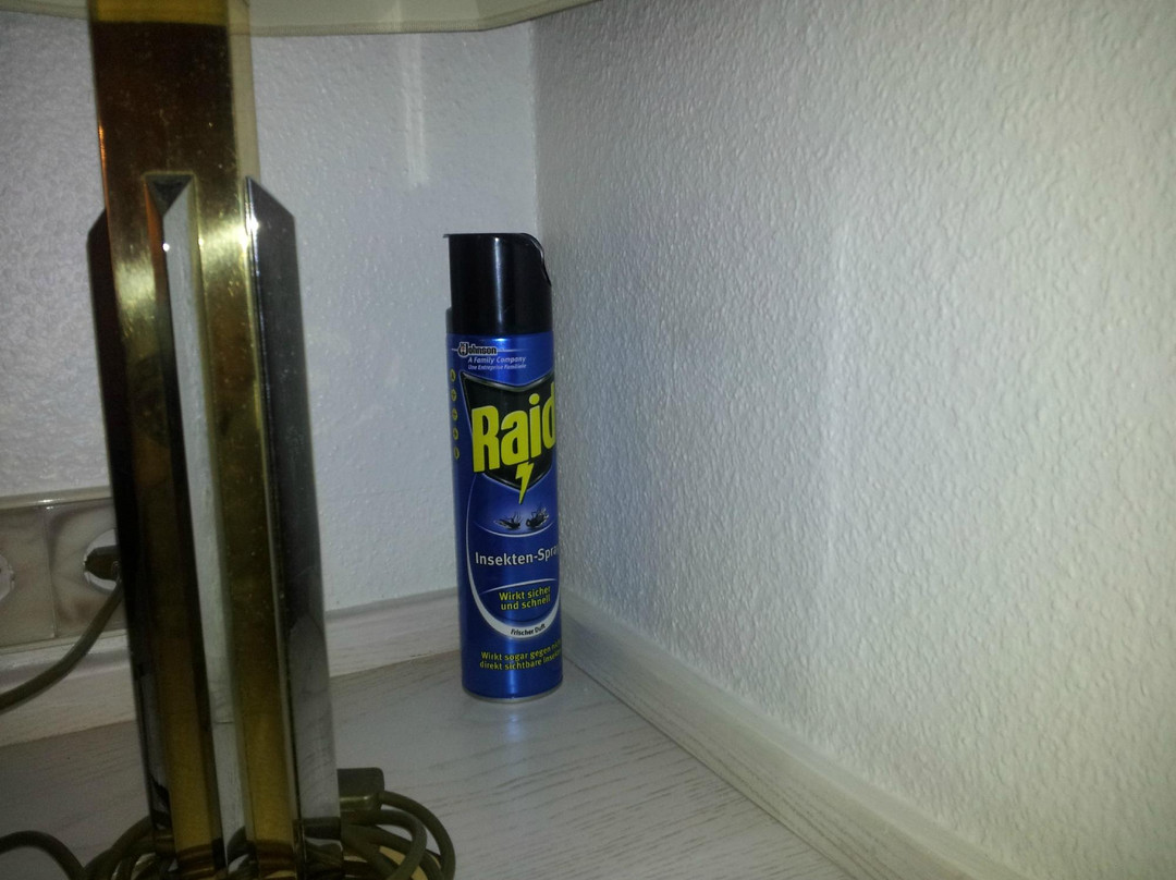 Seehotel am Tankumsee主图