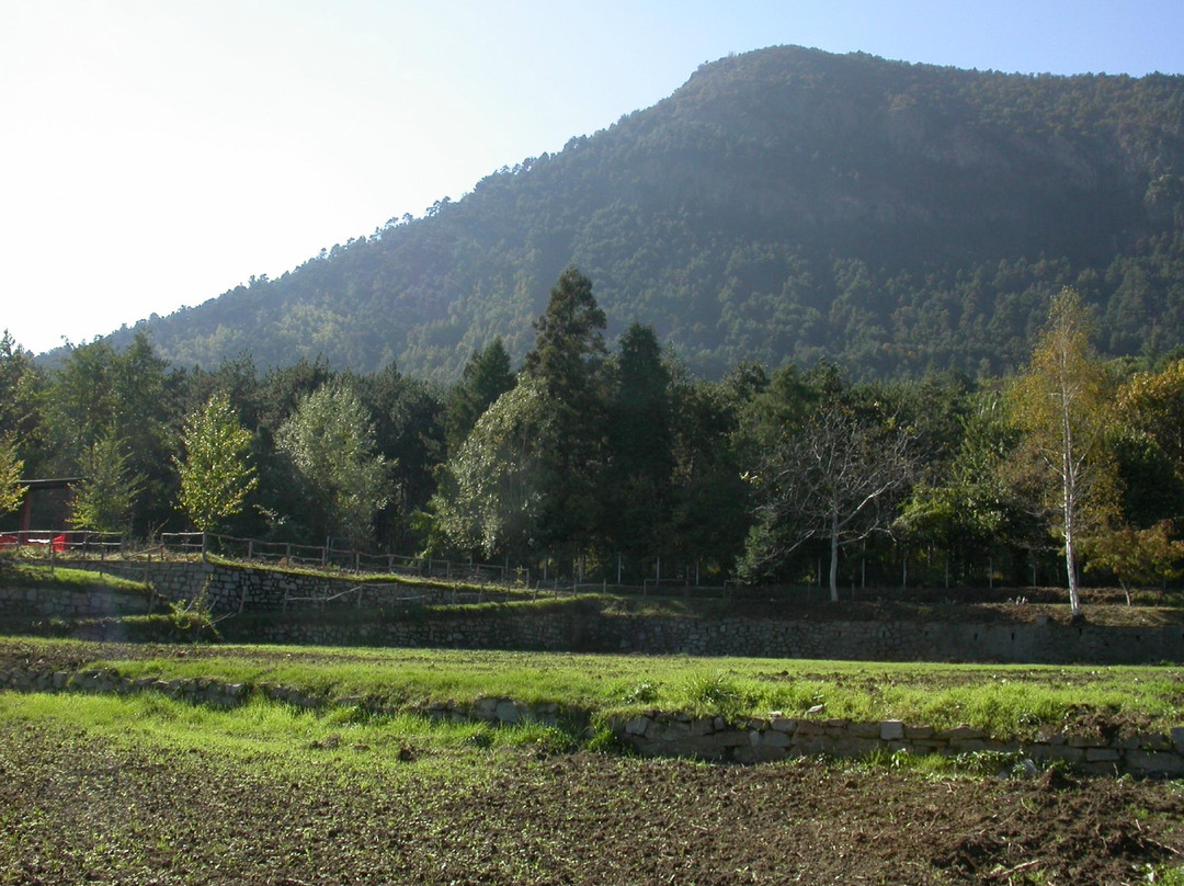 Parco Naturale del Monte San Giorgio景点图片