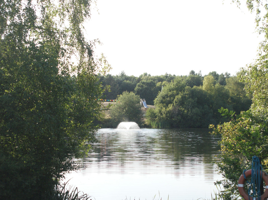 Wellington Country Park-雷丁必去景点