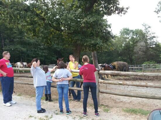 Bear creek stables-Walnut Shade必去景点