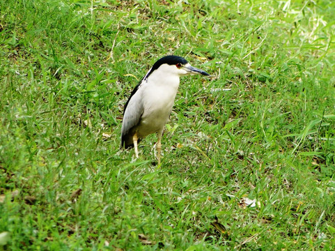 Beira Rio-Santa Rita Do Sapucai必去景点